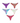 5 Pack Thongs Bundle