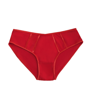 Rouge Modal Brief