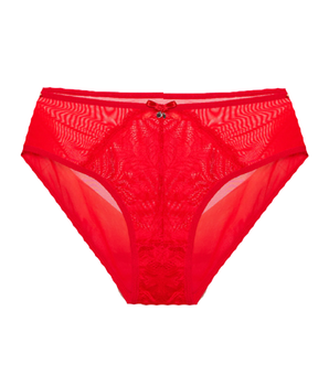 Red Lace Full-Coverage Mesh Brief